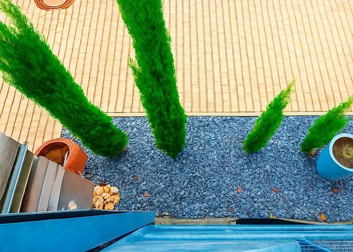 Exclusive 科布倫茨